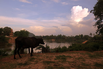 Image showing ASIA SOUTHEASTASIA LAOS KHAMMUAN REGION