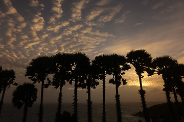 Image showing ASIA THAILAND PHUKET RAWAI 