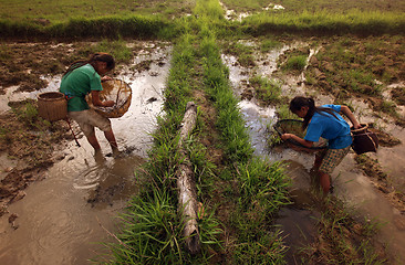 Image showing ASIA SOUTHEASTASIA LAOS KHAMMUAN REGION