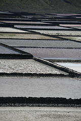 Image showing EUROPE CANARY ISLANDS LANZAROTE