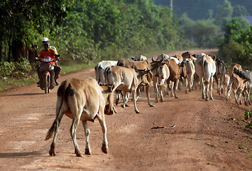 Image showing ASIA SOUTHEASTASIA LAOS KHAMMUAN REGION