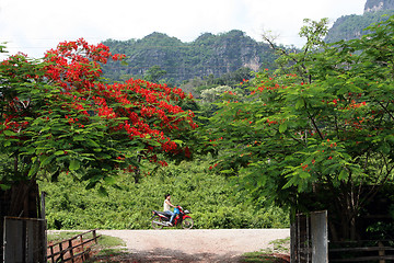 Image showing ASIA SOUTHEASTASIA LAOS KHAMMUAN REGION