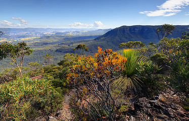 Image showing Narrowneck to Nellies Glen and Megalong Valley