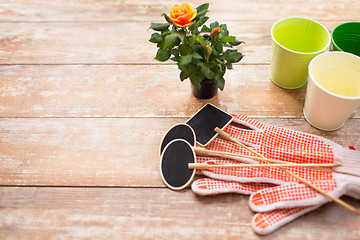 Image showing close up of rose flower and garden tools on table