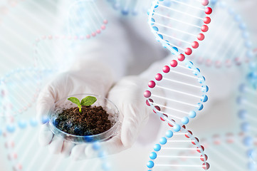 Image showing close up of scientist hands with plant and soil