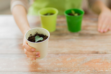 Image showing close up of woman hand holding pot with sprout