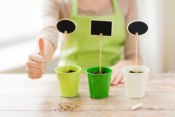 Image showing close up of woman over pots with soil and signs