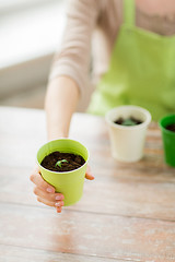 Image showing close up of woman hand holding pot with sprout