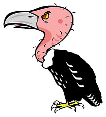 Image showing Vulture