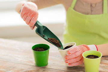 Image showing close up of woman hands with trowel sowing seeds