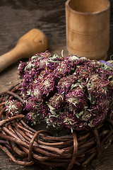 Image showing medicinal herb