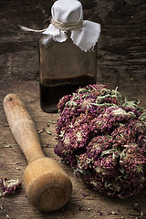 Image showing medicinal herb