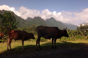 Image showing ASIA SOUTHEASTASIA LAOS VANG VIENG LUANG PRABANG