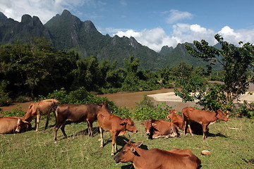 Image showing ASIA SOUTHEASTASIA LAOS VANG VIENG LUANG PRABANG