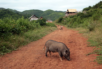 Image showing ASIA SOUTHEASTASIA LAOS VANG VIENG LUANG PRABANG