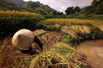 Image showing ASIA SOUTHEASTASIA LAOS VANG VIENG LUANG PRABANG