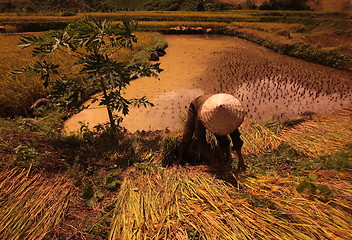 Image showing ASIA SOUTHEASTASIA LAOS VANG VIENG LUANG PRABANG