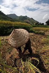 Image showing ASIA SOUTHEASTASIA LAOS VANG VIENG LUANG PRABANG