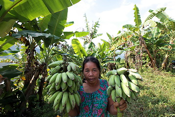 Image showing ASIA SOUTHEASTASIA LAOS VANG VIENG LUANG PRABANG