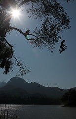 Image showing ASIA SOUTHEASTASIA LAOS LUANG PRABANG