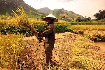 Image showing ASIA SOUTHEASTASIA LAOS VANG VIENG LUANG PRABANG