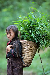 Image showing ASIA SOUTHEASTASIA LAOS VANG VIENG LUANG PRABANG