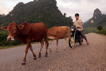 Image showing ASIA SOUTHEASTASIA LAOS VANG VIENG LUANG PRABANG