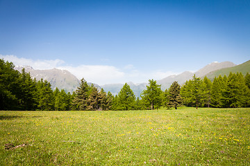 Image showing Italian Alps