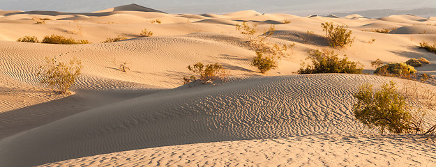 Image showing Death Valley Desert