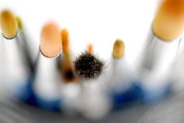 Image showing Paintbrushes macro