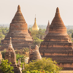 Image showing Tamples of Bagan, Burma, Myanmar, Asia.