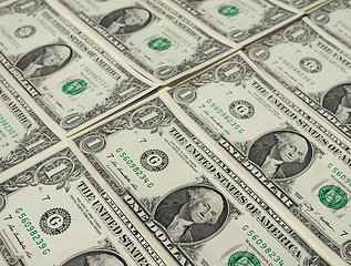 Image showing Dollar notes 1 Dollar