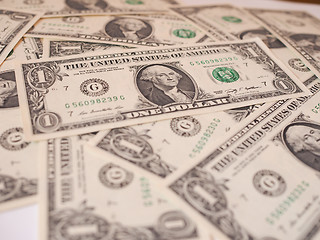 Image showing Dollar notes 1 Dollar