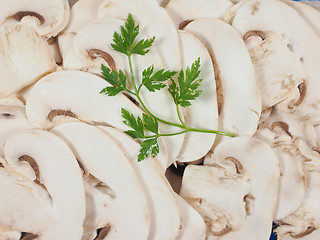 Image showing Champignon mushroom background