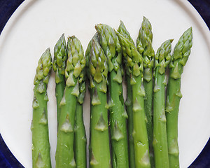 Image showing Asparagus vegetable