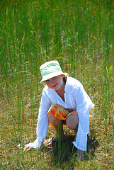 Image showing Girl field