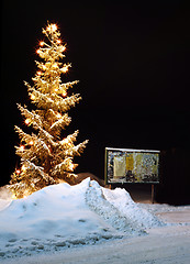 Image showing Christmas tree in snowy surroundings.