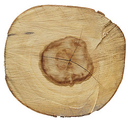 Image showing Stump