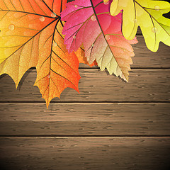 Image showing Autumn Leaves over wooden background. EPS 10