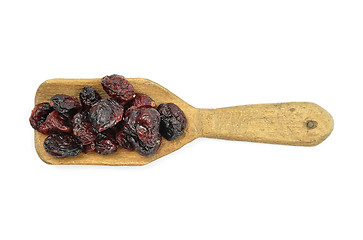 Image showing Dried cranberries on shovel