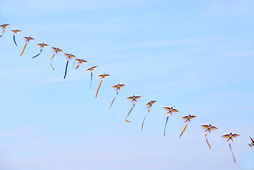 Image showing Kites in the sky