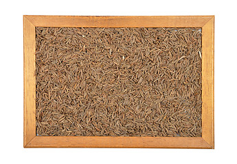 Image showing Caraway seeds in frame