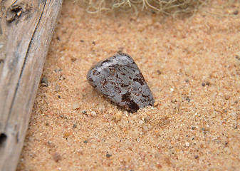 Image showing Cipolin on beach