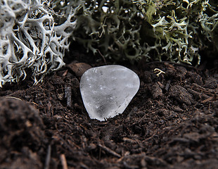 Image showing Rock crystal on forest floor