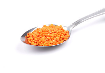 Image showing Red lentils on spoon