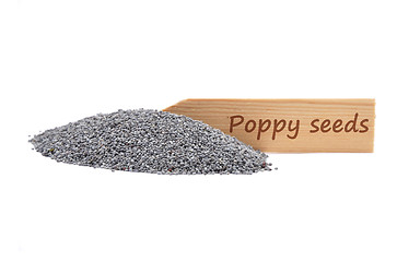 Image showing Poppy seeds on shovel