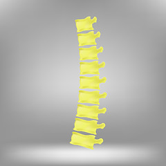 Image showing Spine Icon