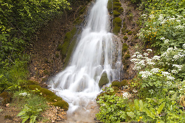 Image showing Stream