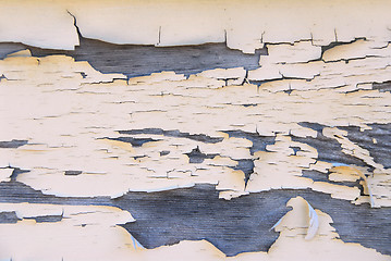 Image showing Old wood background
