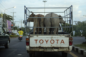 Image showing ASIA THAILAND ISAN UBON RATCHATHANI